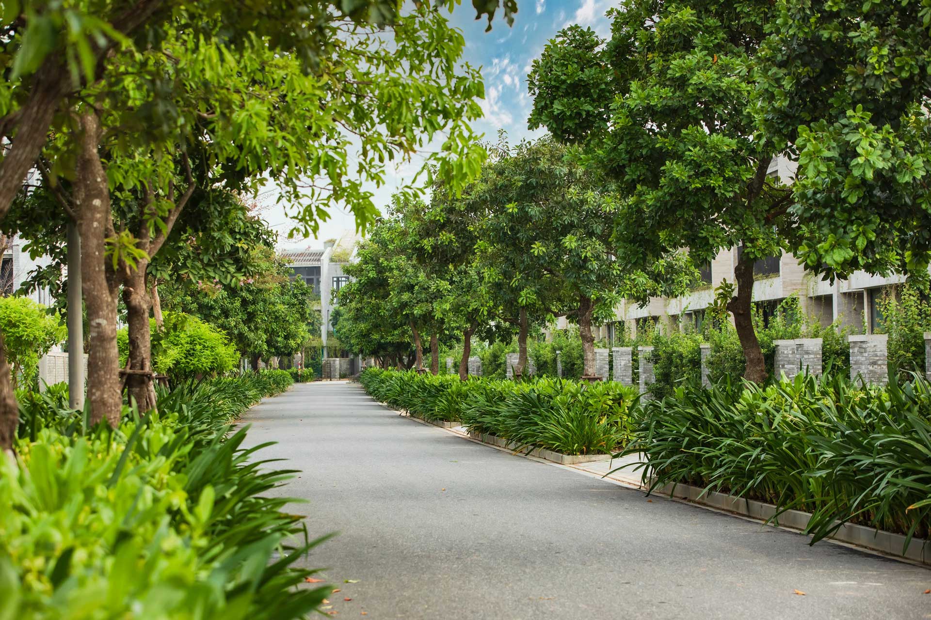 Những con đường Xanh mướt tại khu đô thị Casamia Balanca Hội An