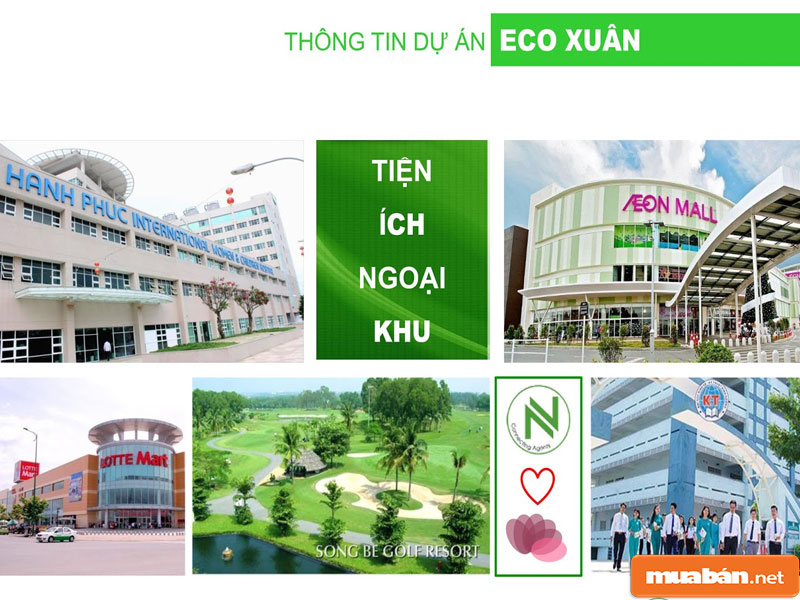 1597805696 85 Kinh Nghiem Eco Xuan Lai Thieu – Cung ban tao